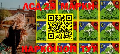 кокс Можга